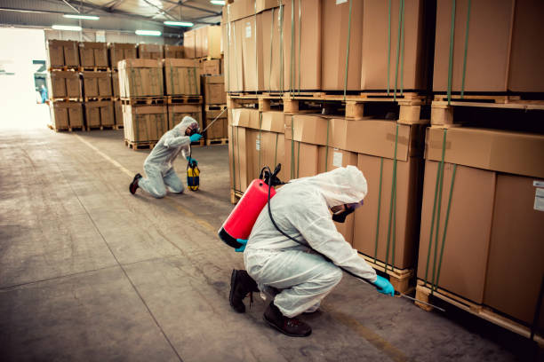 Best Ant Control Services  in Bourbon, IN