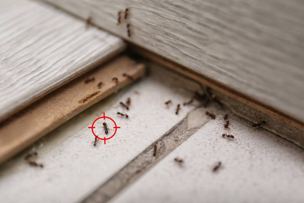 Best Exterminator Services  in Bourbon, IN