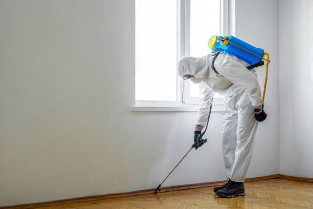 Best Residential Pest Control  in Bourbon, IN