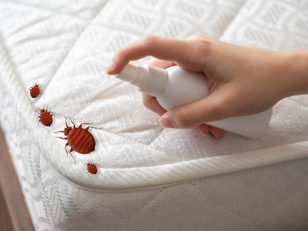 Best Local Pest Control Services  in Bourbon, IN