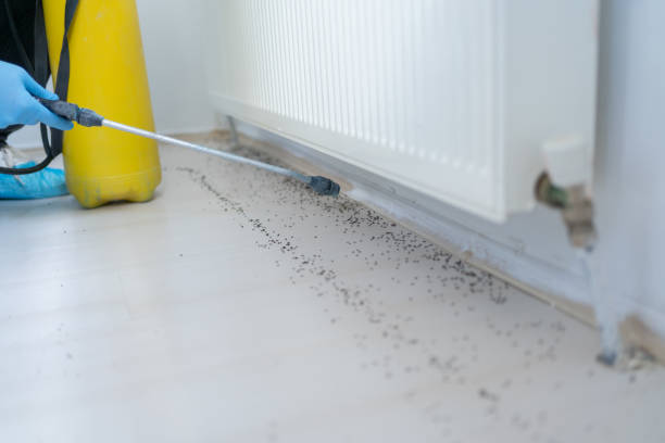 Best Cockroach Control Services  in Bourbon, IN