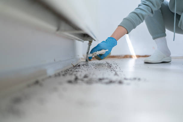 Best Flea Control Services  in Bourbon, IN